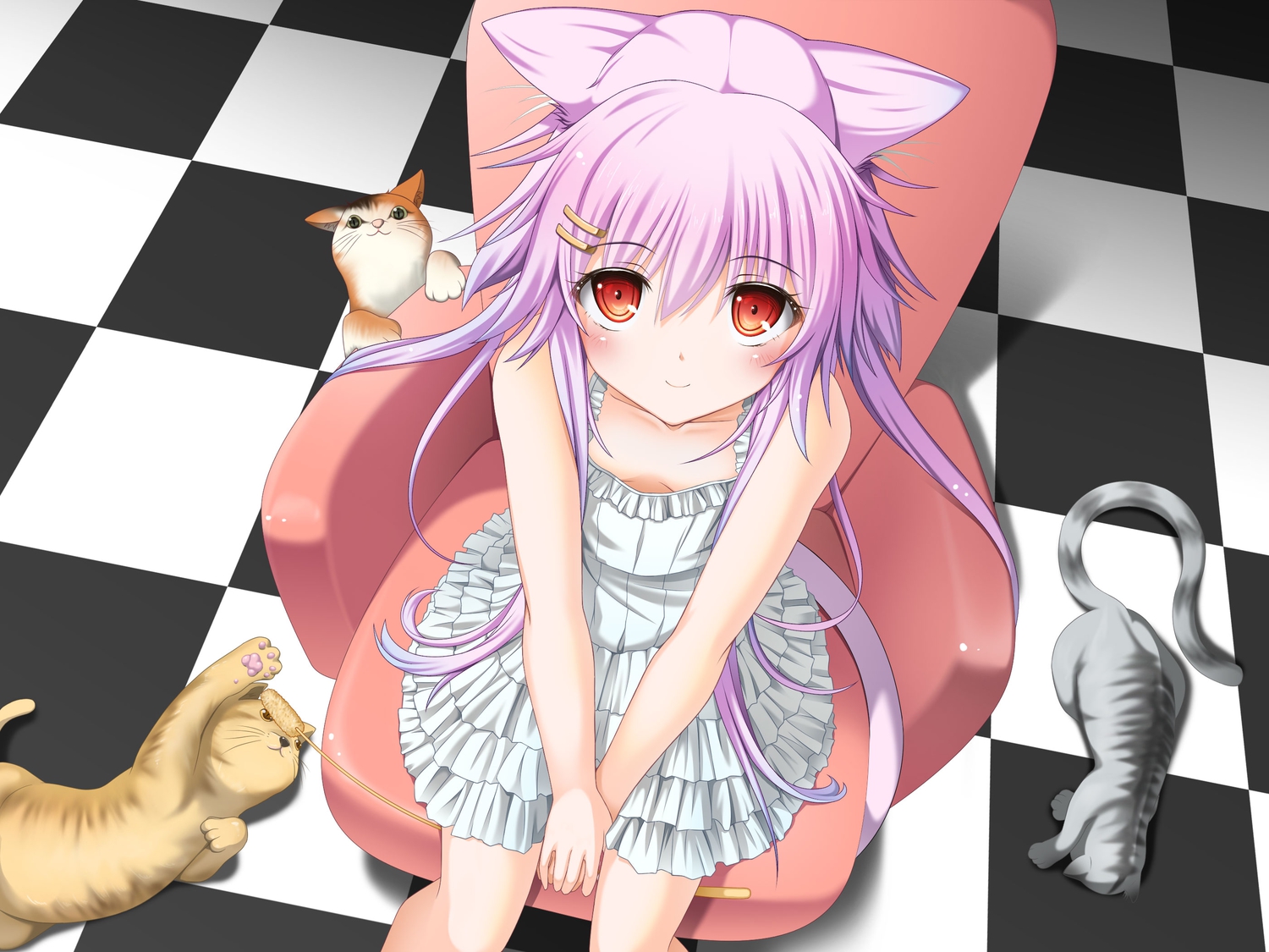 animal, animal_ears, cat, long_hair, moeki_yuuta, original, purple_hair, red_eyes