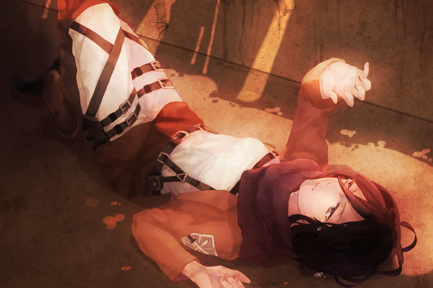 black_hair, mikasa_ackerman, shingeki_no_kyojin, shiroxx0094, tears