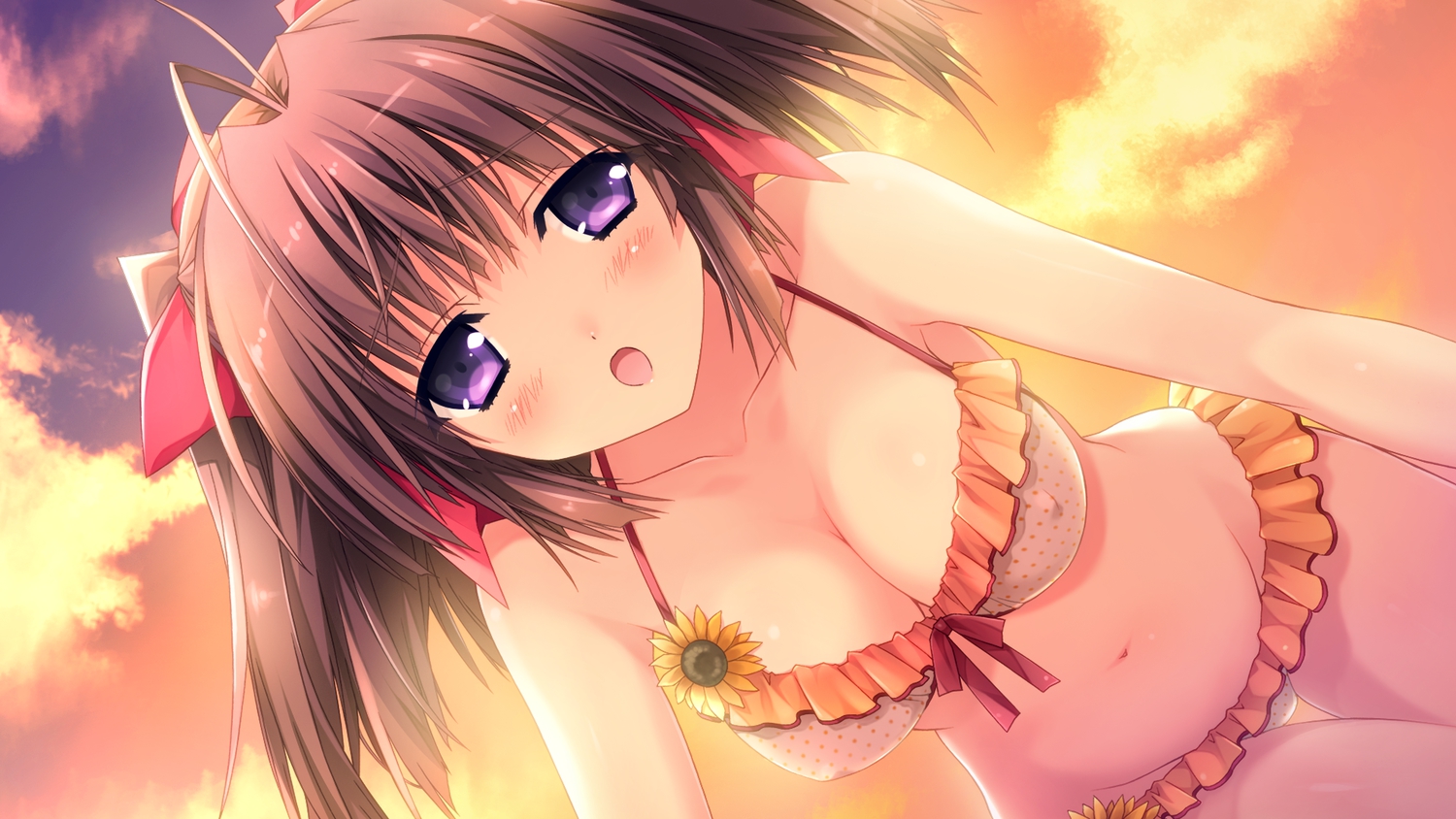 berrys, bikini, breasts, cleavage, clouds, erect_nipples, game_cg, izuno_youko, kimizuka_aoi, purple_eyes, sky, sphere, sunset, swimsuit
