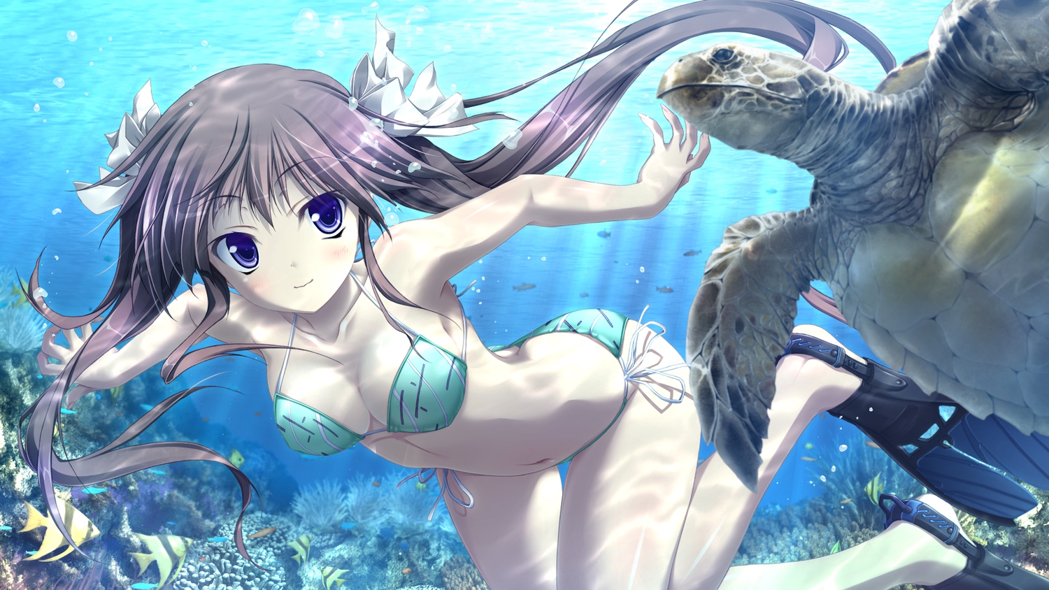 animal, bikini, brown_hair, fish, hapymaher, hirasaka_keiko, purple_software, swimsuit