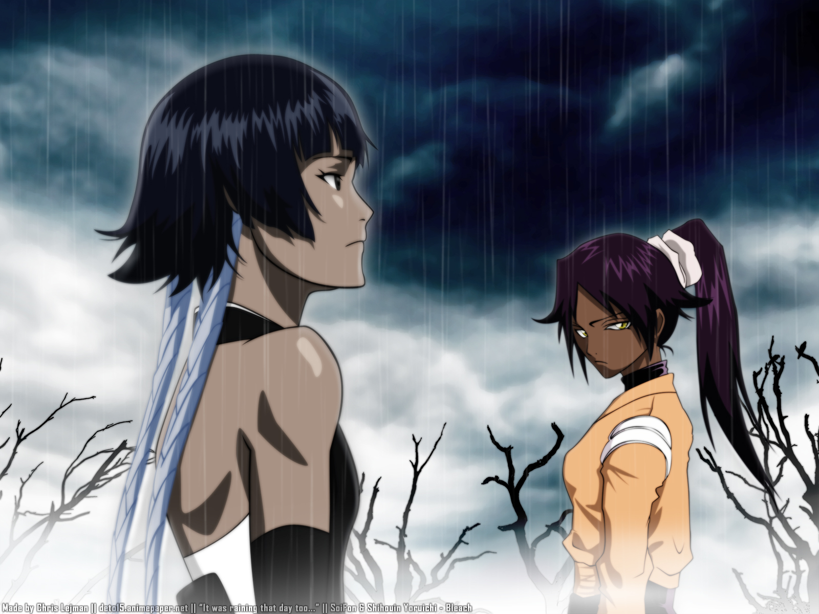 2girls, bleach, dark_skin, rain, shihouin_yoruichi, soifon, water