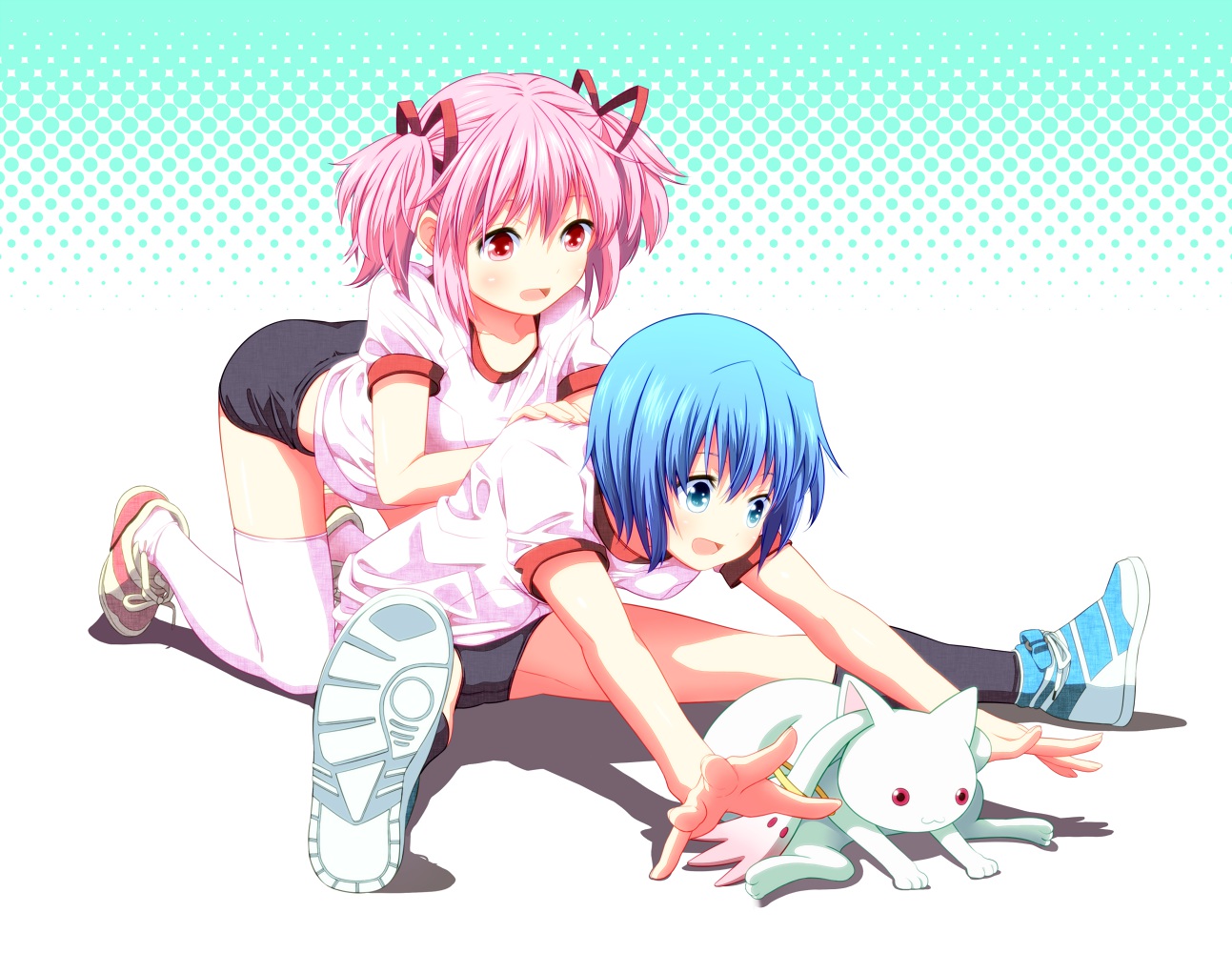 2girls, animal, blue_eyes, blue_hair, cat, gym_uniform, kaname_madoka, kneehighs