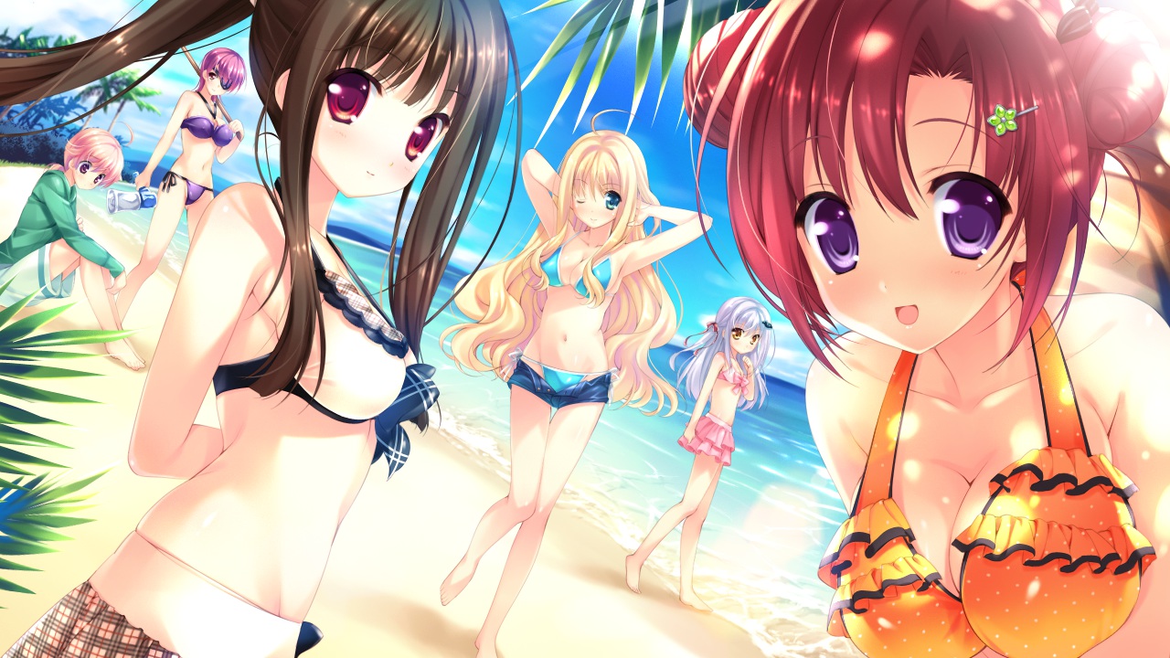 beach, bikini, blonde_hair, blue_eyes, blush, breasts, brown_hair, chris_crawford, cleavage, eyepatch, game_cg, group, hoshi_no_ne_sanctuary, hyoudou_hibiki, katsuragi_ria, komatsubara_yomi, long_hair, marmalade, naruse_hirofumi, navel, orange_eyes, purple_eyes, purple_hair, red_eyes, red_hair, serina_malgrid_octavius, shinryouji_hisui, short_hair, swimsuit, water, white_hair, wink