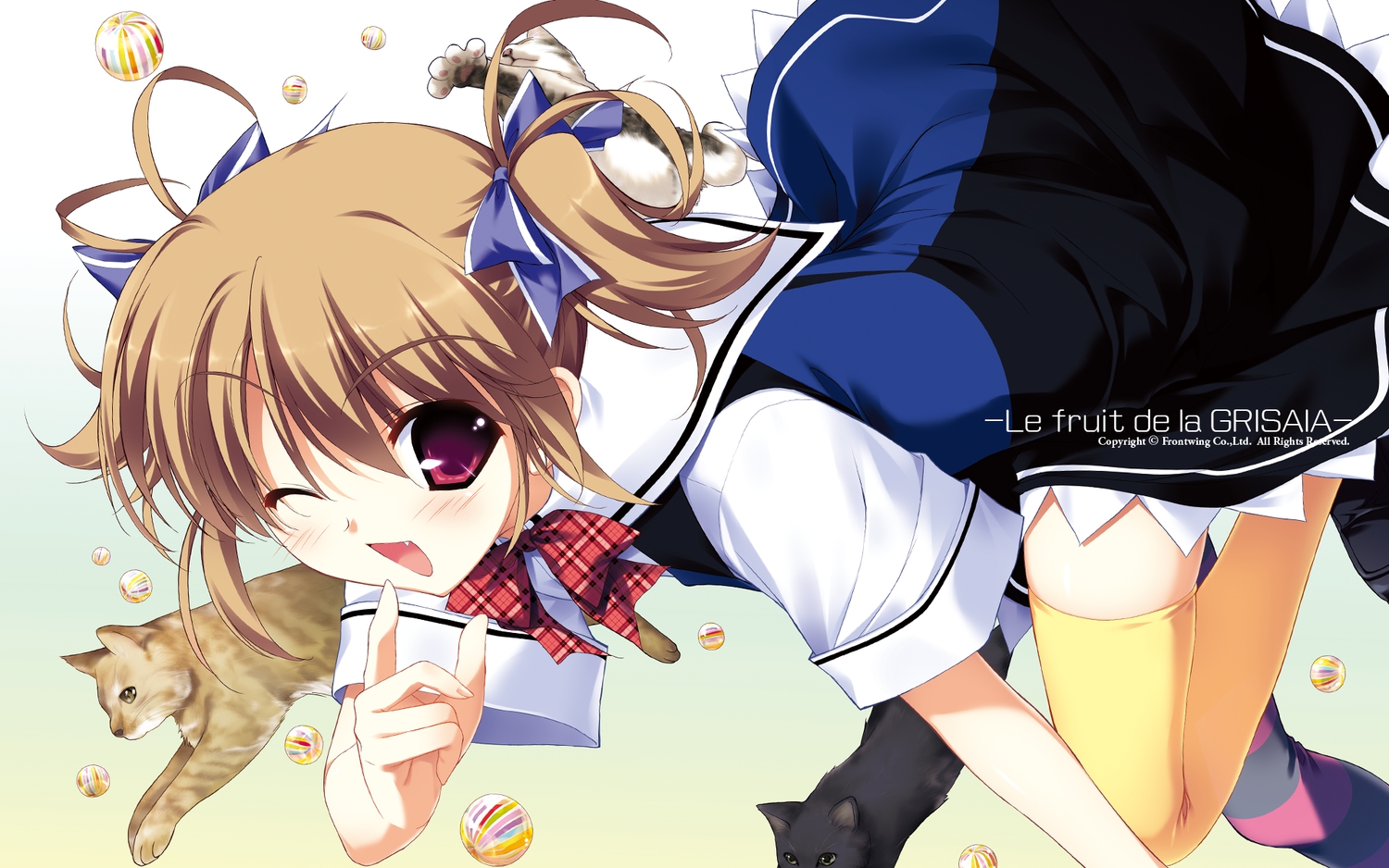 animal, blush, brown_hair, cat, fang, front_wing, fumio, grisaia_no_kajitsu