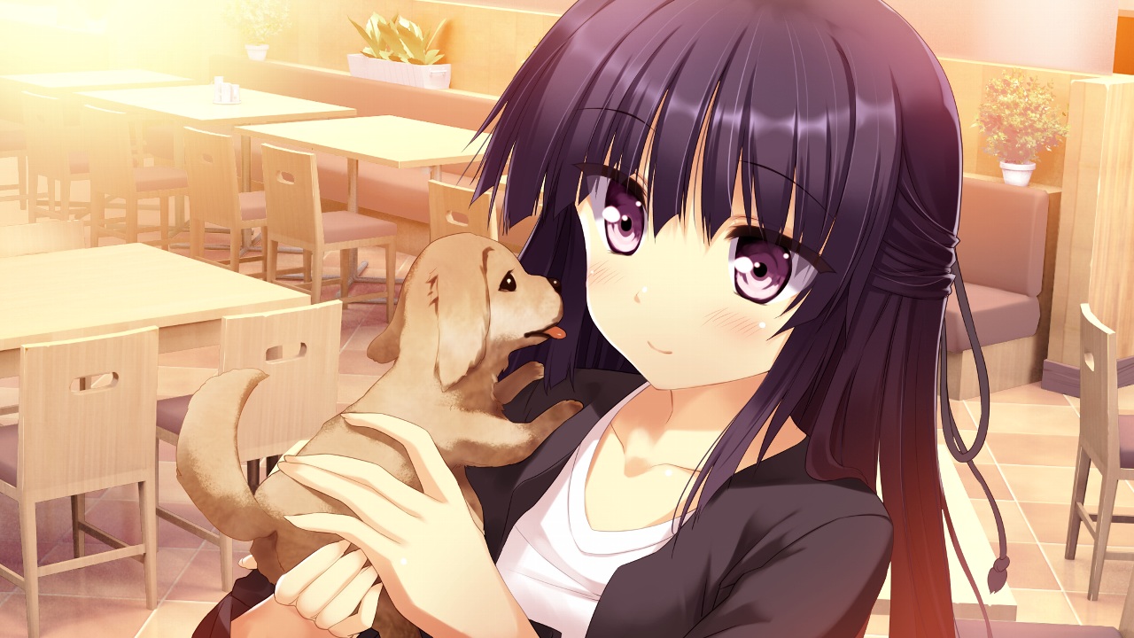 animal, black_hair, blush, dog, eufonie, game_cg, kamishiro_touko, koiken_otome