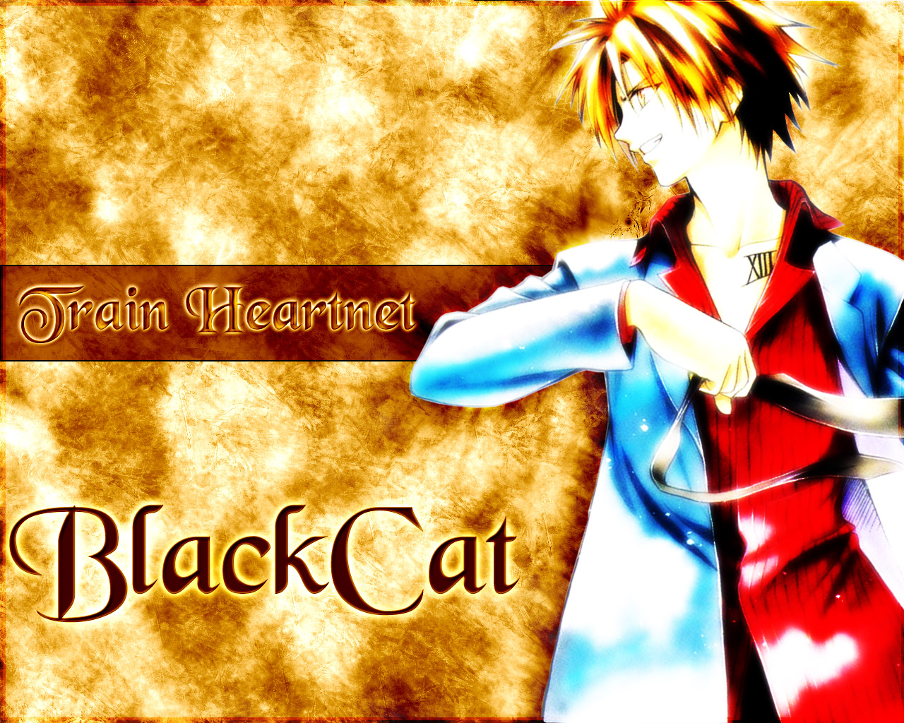 black_cat, train_heartnet