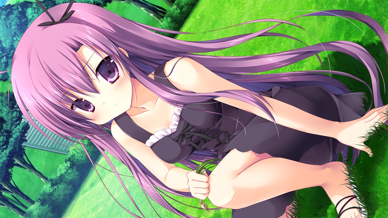 dress, fuyutsuki_shigure, game_cg, grass, izayoi_no_fortuna, lapis_lazuli_(company), long_hair, miyasaka_miyu, purple_eyes, purple_hair