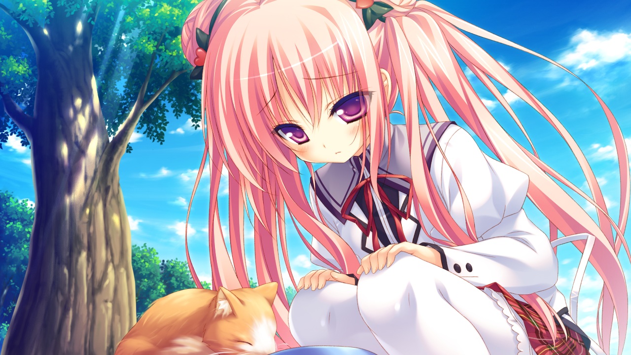 2-g, amatarasu_riddle_star, animal, cat, game_cg, kokoro_judith, long_hair, pantyhose