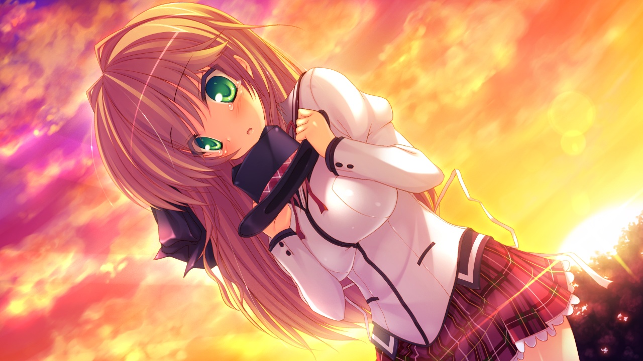 amatarasu_riddle_star, blush, brown_hair, game_cg, green_eyes, hat, hatta_madori, long_hair