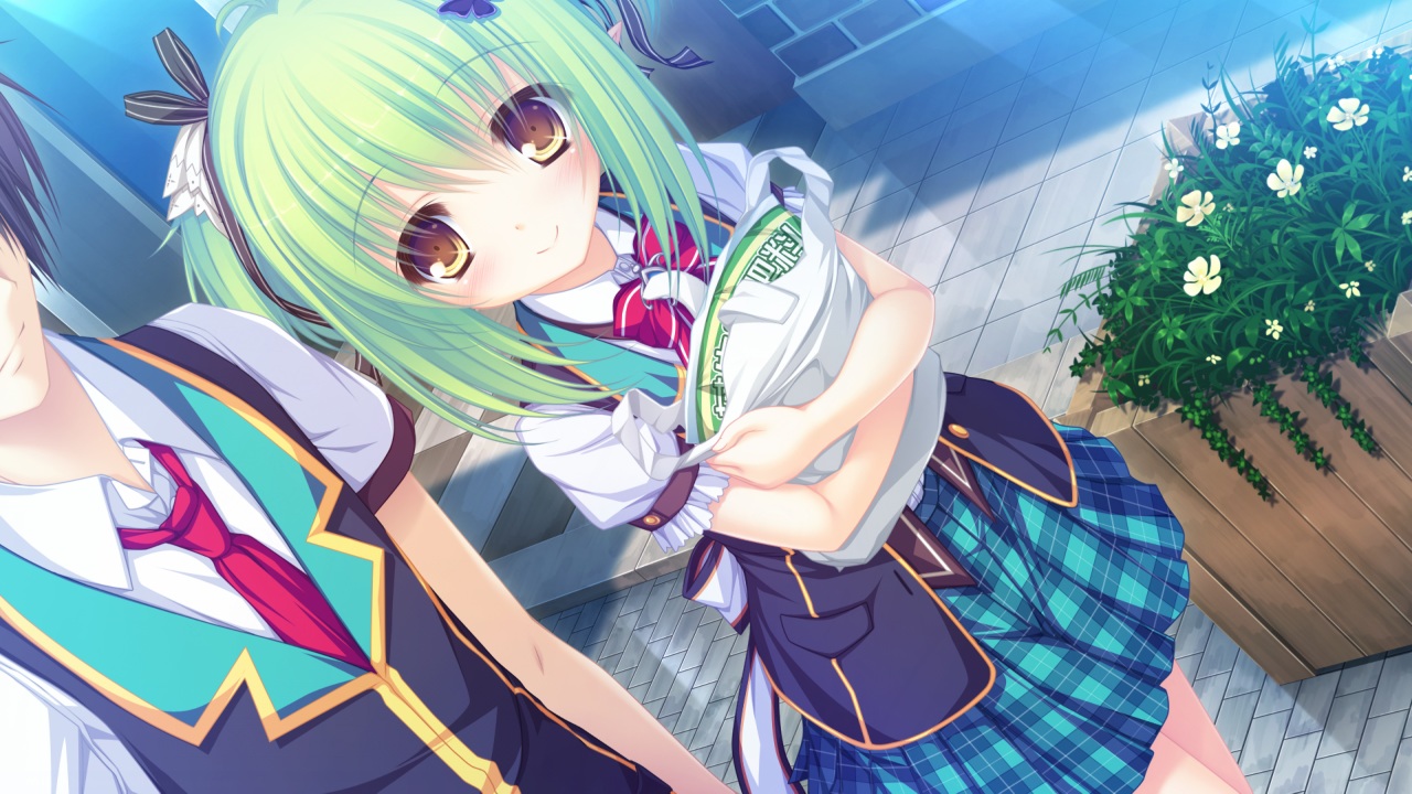 bow, charlles_faltesia, flowers, game_cg, green_hair, magicalic_sky_high, male, mikagami_mamizu