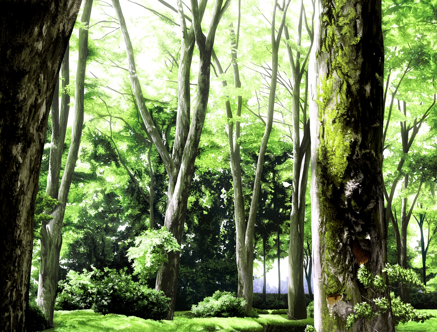 forest, nakamura_sumikage, no_humans, original, scenic, tree