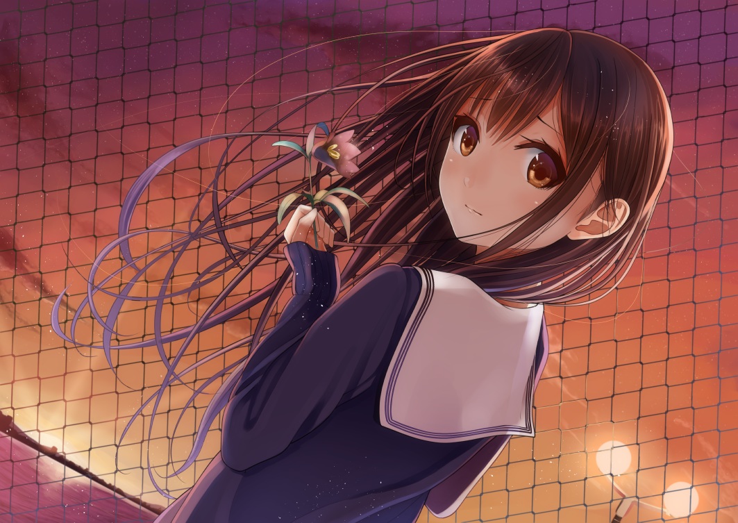 brown_eyes, brown_hair, flowers, kentaurosu, long_hair, original, school_uniform, sky, sunset