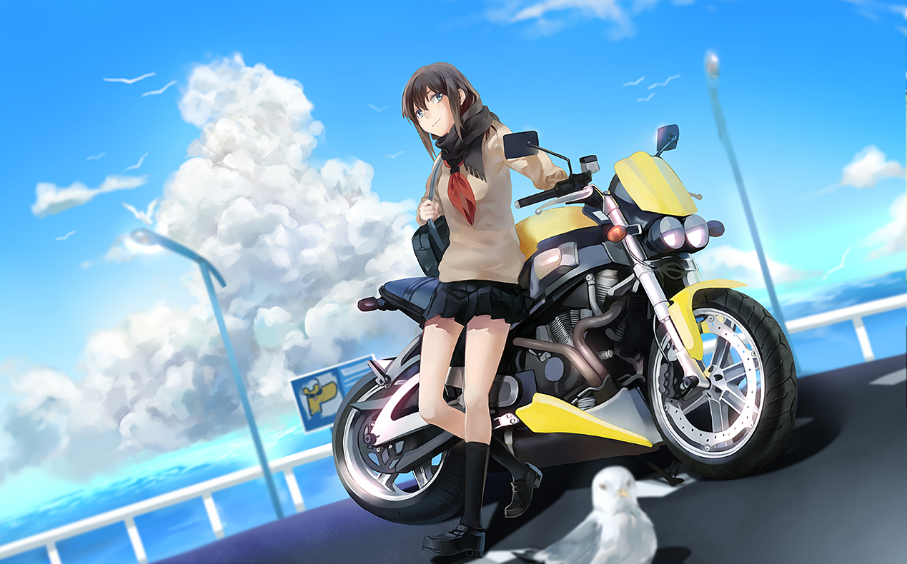 animal, bird, blue_eyes, brown_hair, clouds, motorcycle, original, rff_(3_percent)