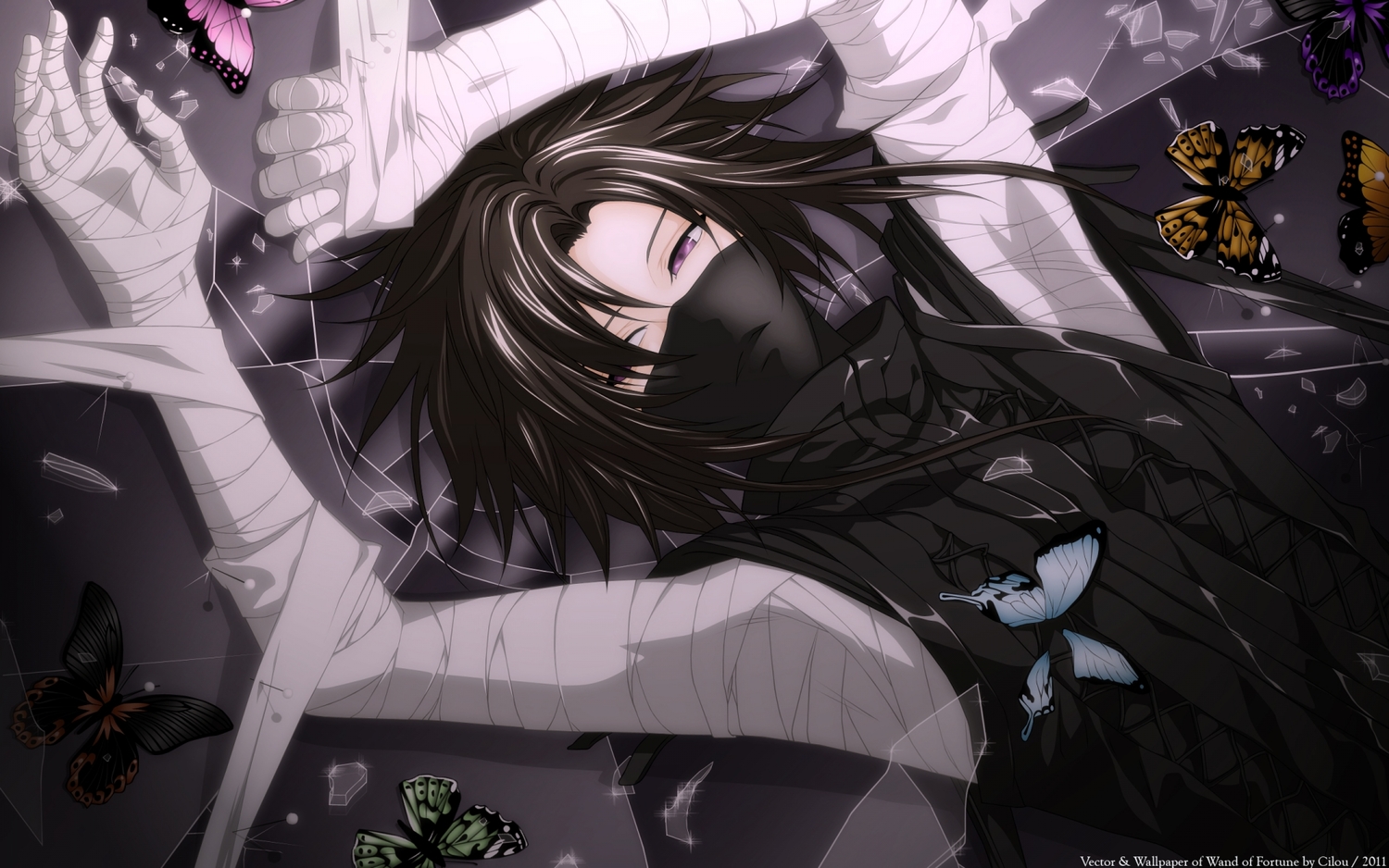 all_male, alvaro_garay, bandage, brown_hair, butterfly, male, mask, purple_eyes, short_hair, vector, wand_of_fortune