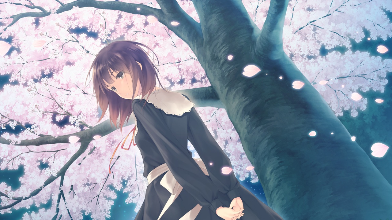 black_eyes, brown_hair, cherry_blossoms, flowers, flowers_(game), game_cg, innocent_grey, kousaka_mayuri