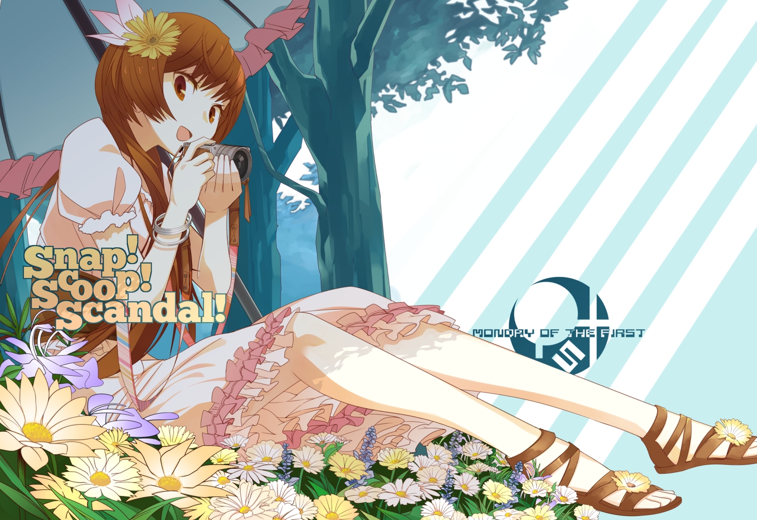 brown_eyes, brown_hair, camera, dress, flowers, long_hair, nisekoi, tachibana_marika, total9, umbrella