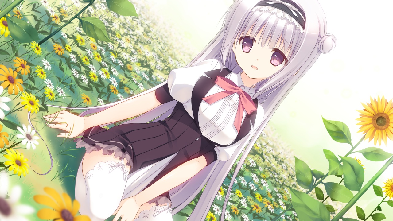 bow, flowers, game_cg, gray_hair, headband, long_hair, navel_honeybell, purple_eyes, school_uniform, shiina_tyris_eluard, sora_tobu_hitsuji_to_manatsu_no_hana, sunflower, tanihara_natsuki, thighhighs