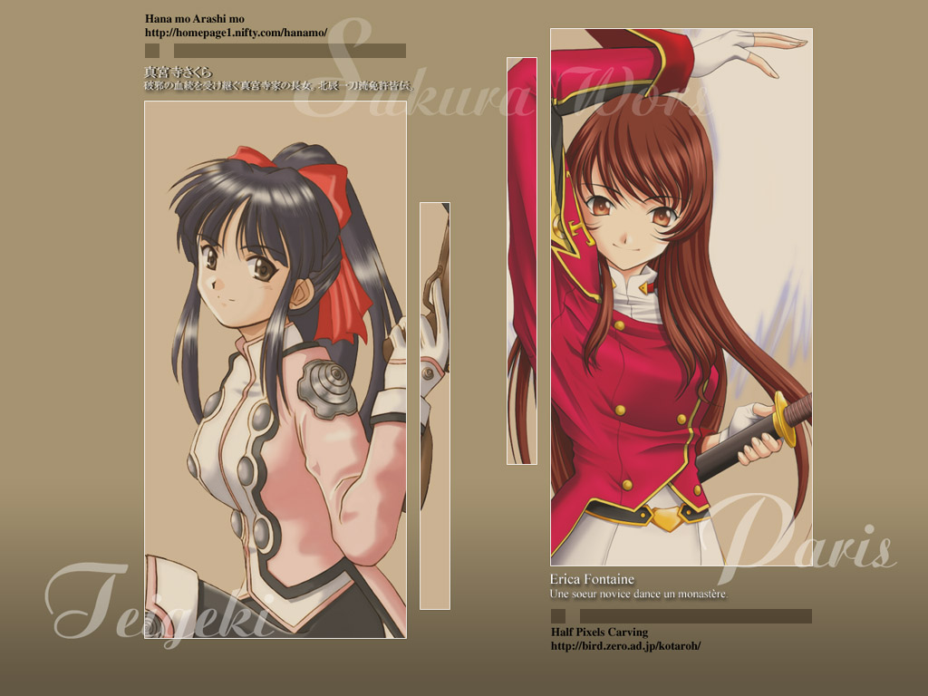 erica_fontaine, half_pixels_carving, sakura_taisen, shinguji_sakura