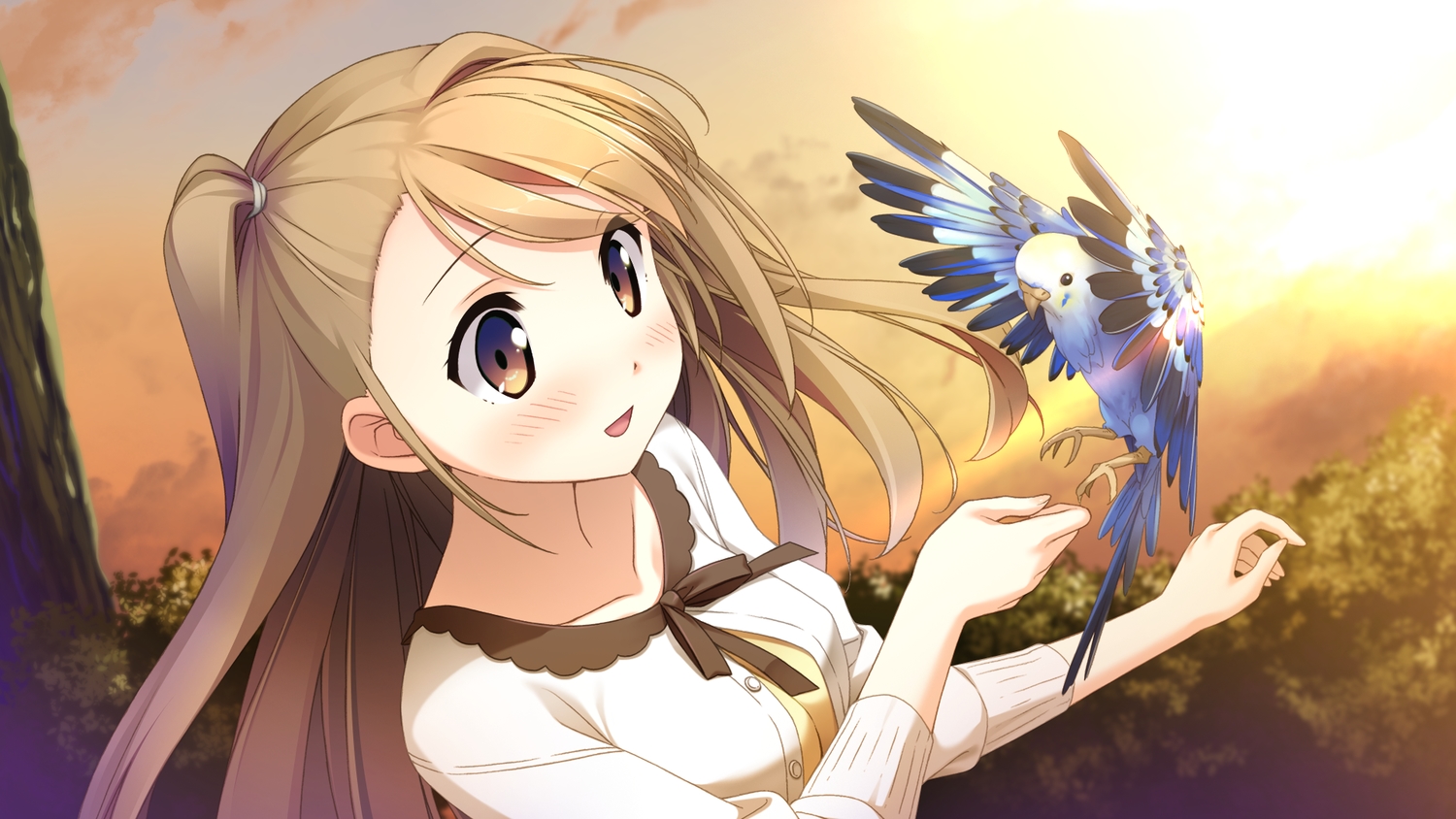animal, bird, brown_hair, cube, game_cg, ichinose_hotori, kantoku, long_hair
