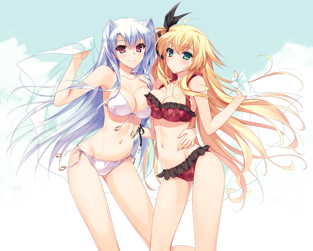 2girls, bikini, blonde_hair, breasts, cleavage, estelle_norn_stern, kenkoku_no_jungfrau, long_hair, swimsuit, yasaka_minato