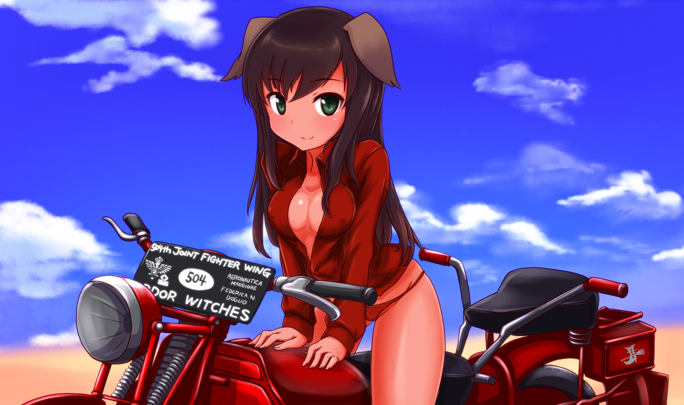 a9b_(louis814), animal_ears, breasts, cleavage, federica_n_doglio, motorcycle, open_shirt, strike_witches