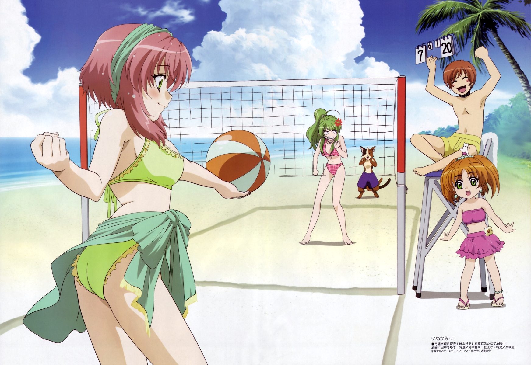 animal, ball, beach, bikini, cat, inukami, kawahira_keita, nadeshiko