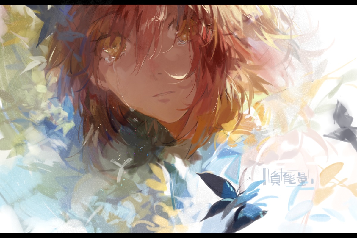brown_hair, butterfly, original, tang_elen, tears
