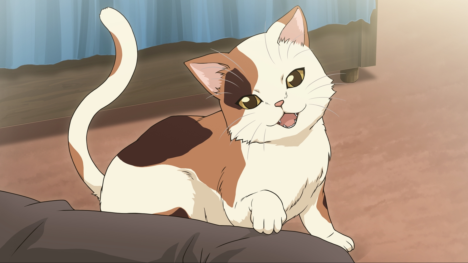 animal, cat, game_cg, suzumiya_haruhi_no_tsuisou, suzumiya_haruhi_no_yuutsu