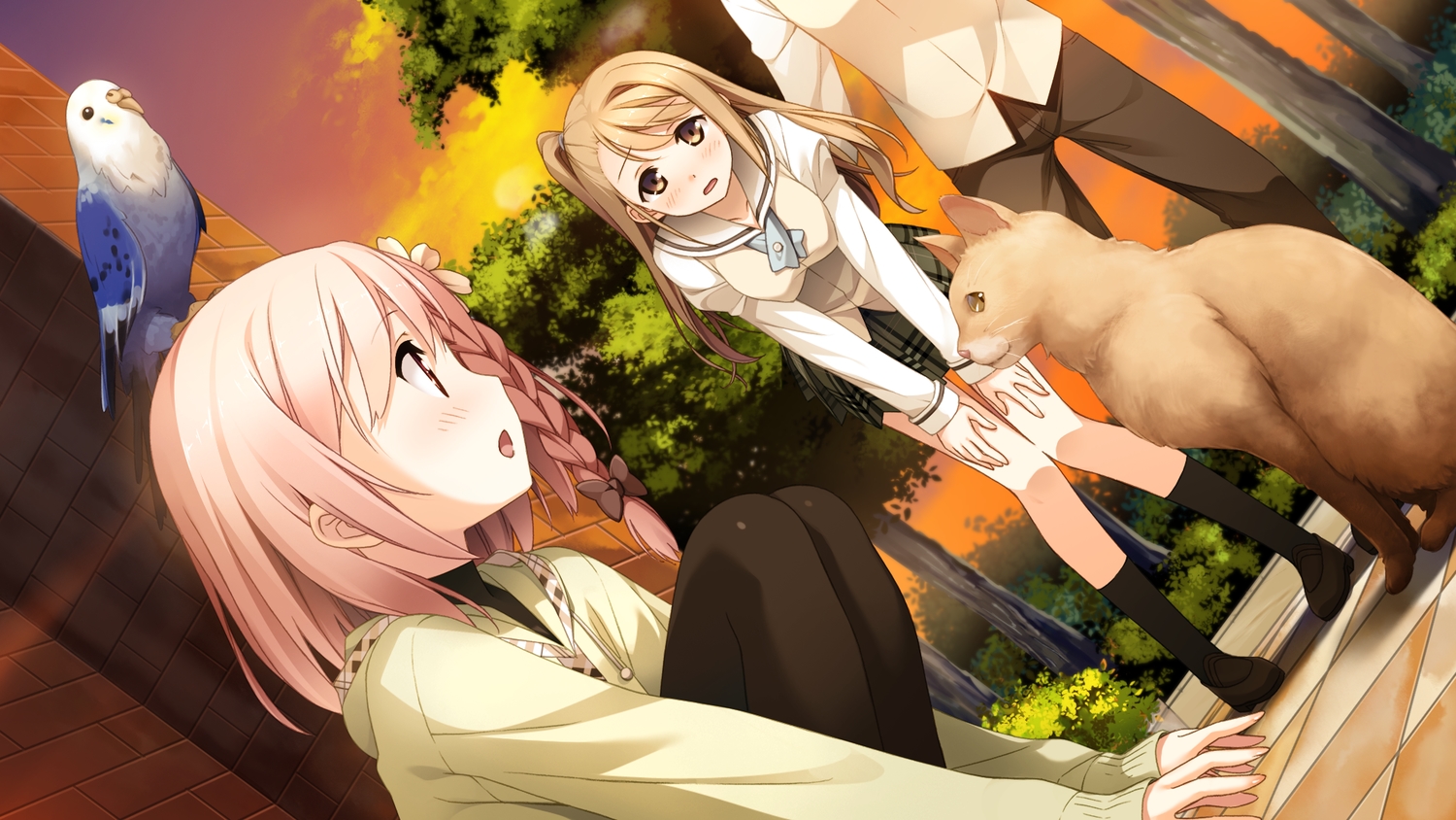 animal, bird, cat, cube, game_cg, ichinose_hotori, kantoku, loli