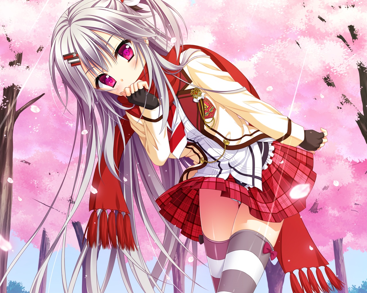 cherry_blossoms, flowers, game_cg, gloves, gray_hair, hanasaki_work_spring, hontani_kanae, long_hair, purple_eyes, saga_planets, scarf, school_uniform, shiranui_inori, skirt, thighhighs, zettai_ryouiki