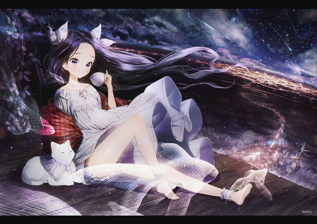 animal, barefoot, black_hair, cat, dress, drink, fish, gomzi, grass, long_hair, magic, night, original, stars