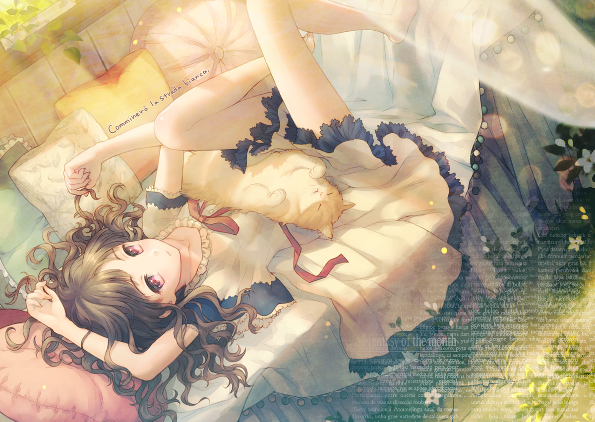 animal, barefoot, brown_hair, cat, dress, flowers, long_hair, nekokan_masshigura, original, pink_eyes