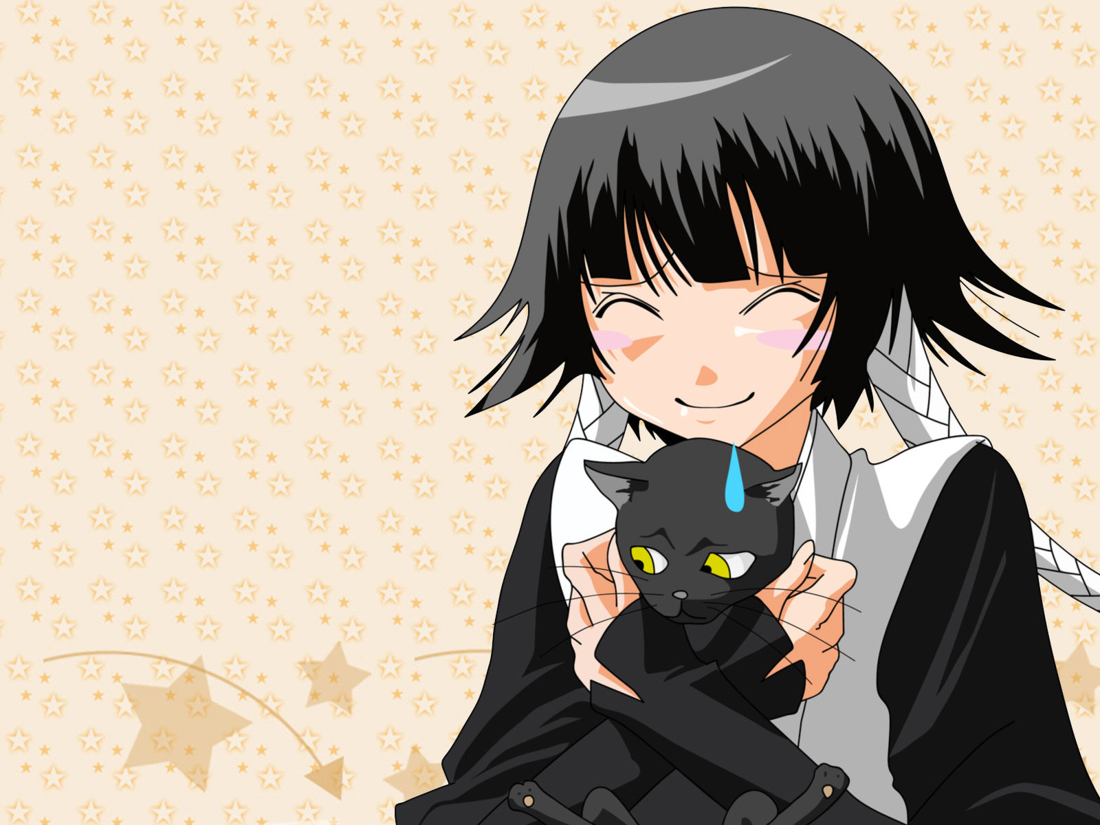 animal, bleach, cat, shihouin_yoruichi, soifon