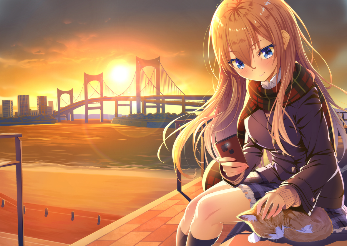 animal, blonde_hair, blue_eyes, blush, building, cat, heirou, kneehighs