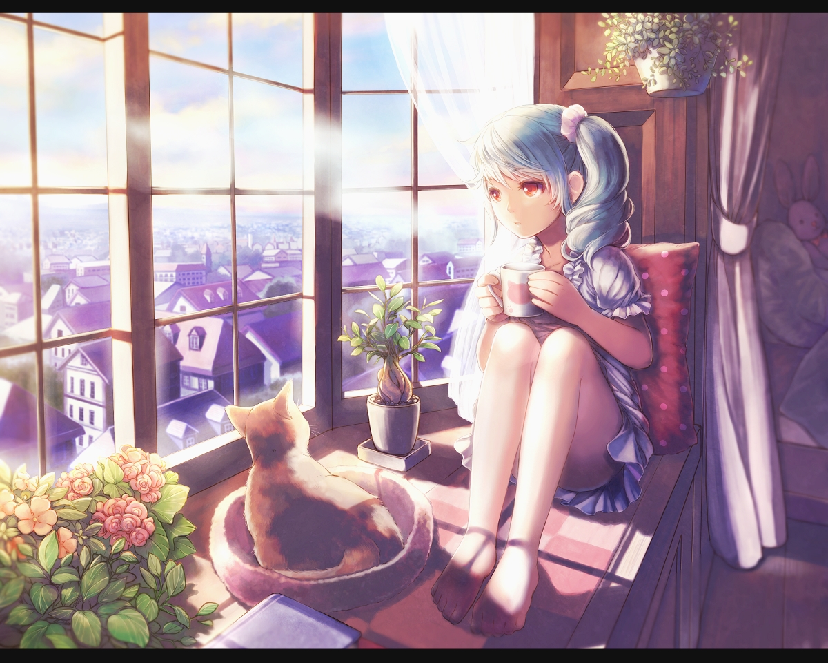 animal, aqua_hair, barefoot, building, cat, city, drink, long_hair, original, ponytail, red_eyes, scenic, skirt, soujirou