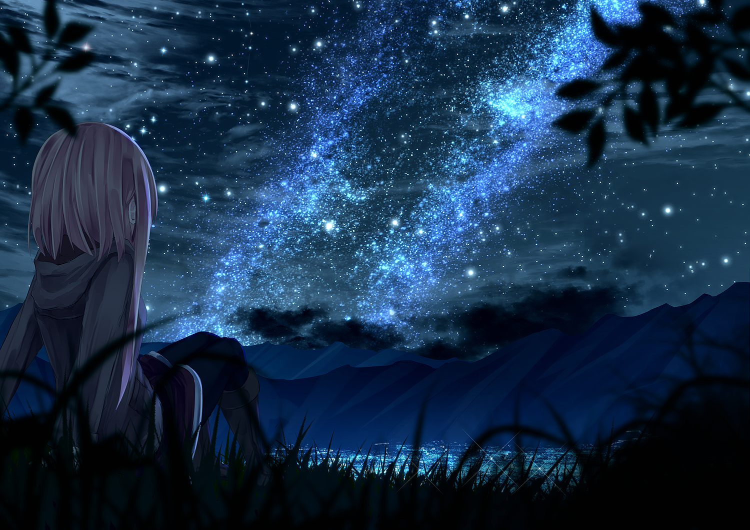 grass, hood, kagayan1096, night, original, scenic, sky, stars