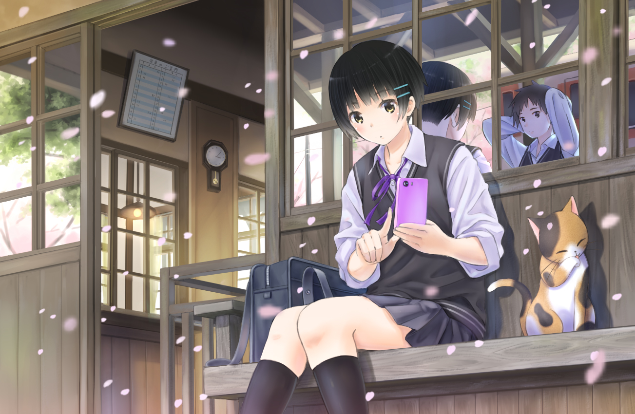 animal, black_hair, building, cat, cherry_blossoms, flowers, kneehighs, male