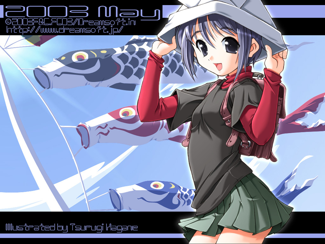 dreamsoft, tsurugi_hagane
