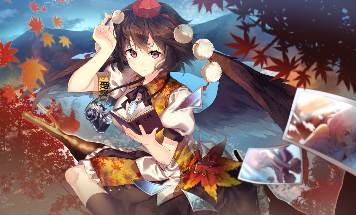 aliasing, autumn, book, brown_hair, camera, hakurei_reimu, hat, inubashiri_momiji