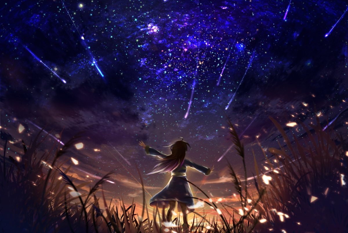 autumn, dress, grass, long_hair, nanon_01, night, original, scenic, sky, stars