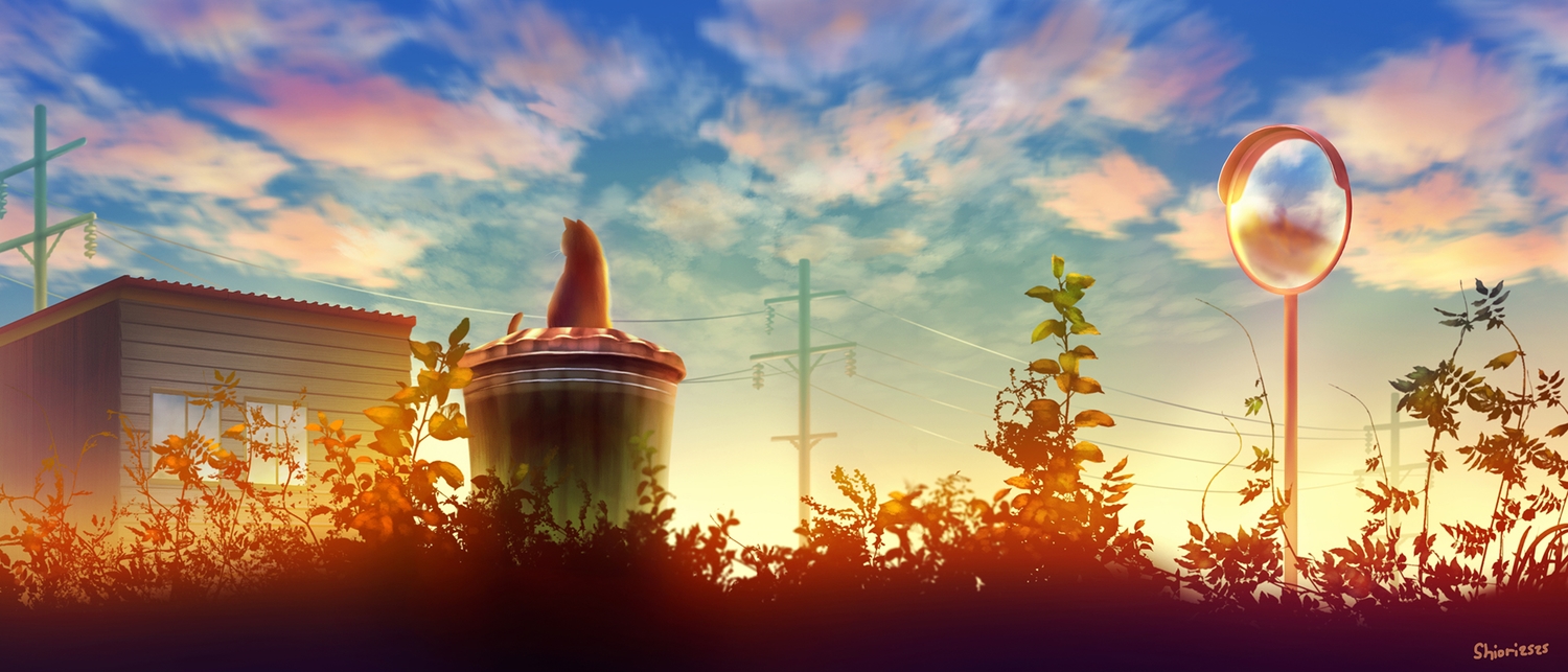 animal, cat, dej_(shiori2525), original, scenic, sunset