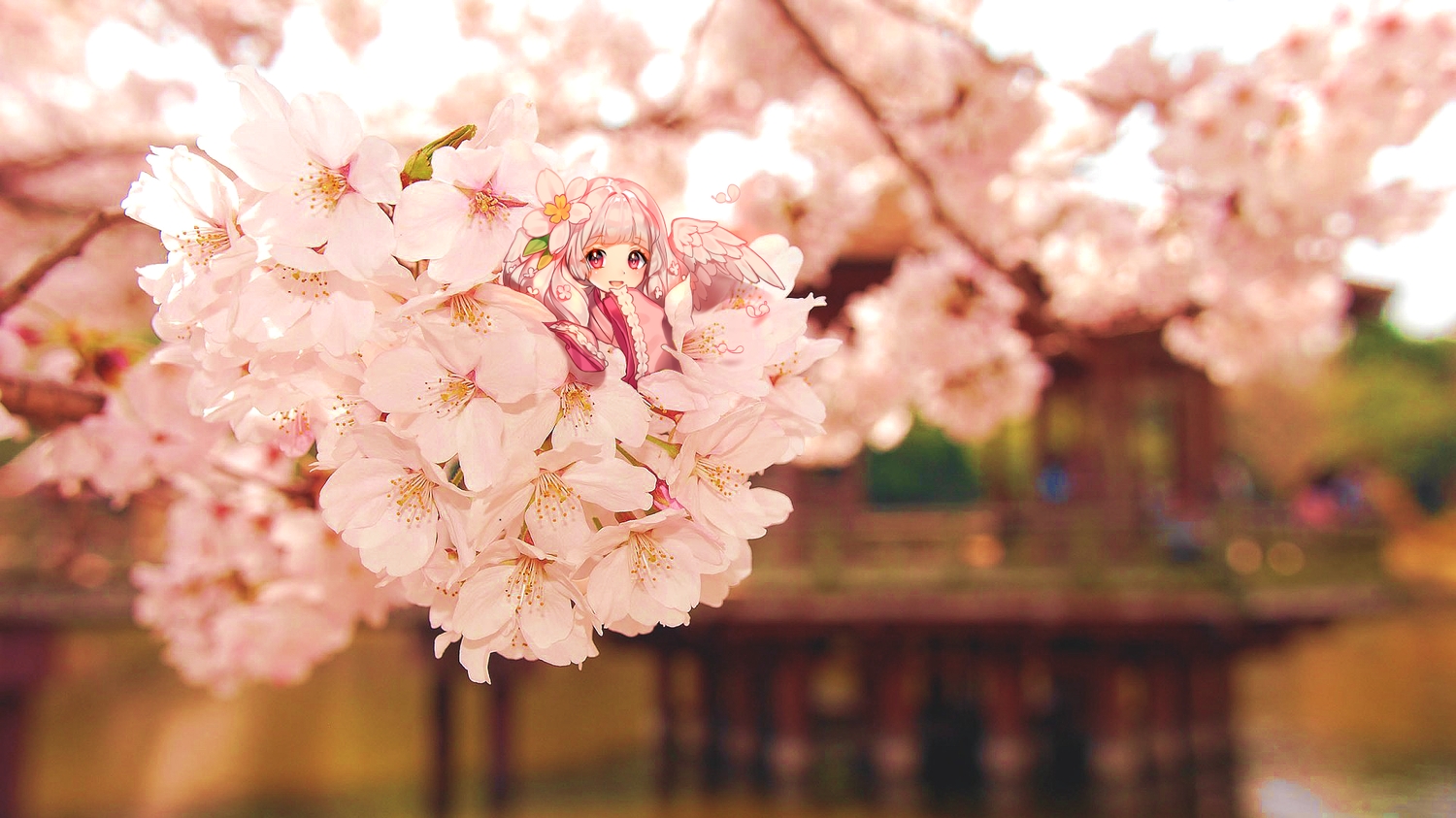 cherry_blossoms, chibi, fairy, flowers, japanese_clothes, kimono, long_hair, ninee, original, pink_eyes, pink_hair, red_eyes, tree, wings