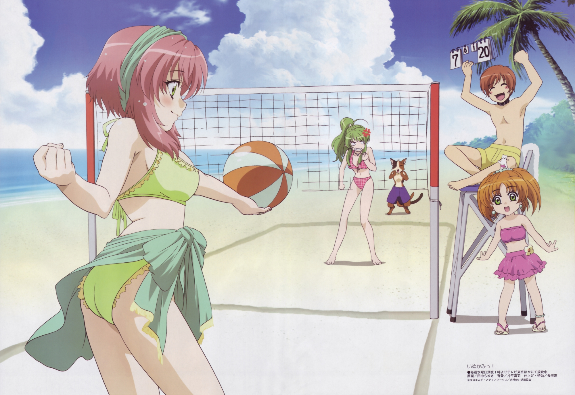 animal_ears, ball, beach, bikini, green_hair, group, inukami, kawahira_keita