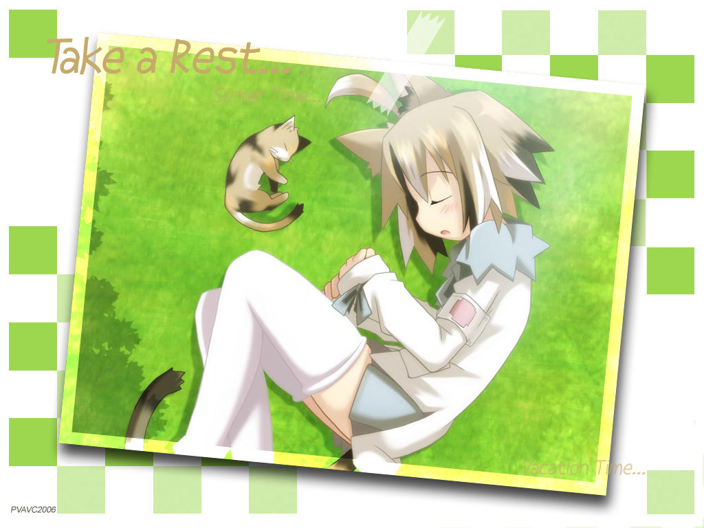 animal, animal_ears, born_freaks, cat, catgirl, summer