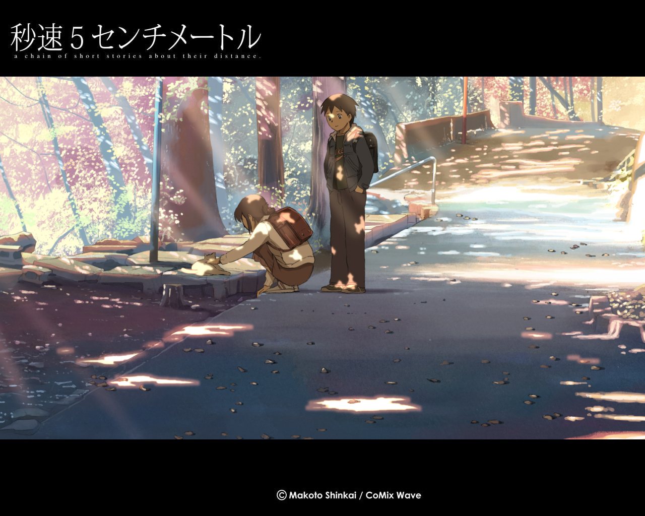 animal, brown_hair, byousoku_5_centimetre, cat, petals, shinkai_makoto, shinohara_akari, toono_takaki