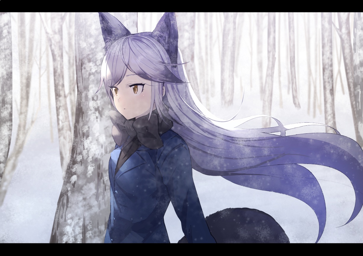 animal_ears, anthropomorphism, bow, brown_eyes, foxgirl, gray_hair, kemono_friends, koruse