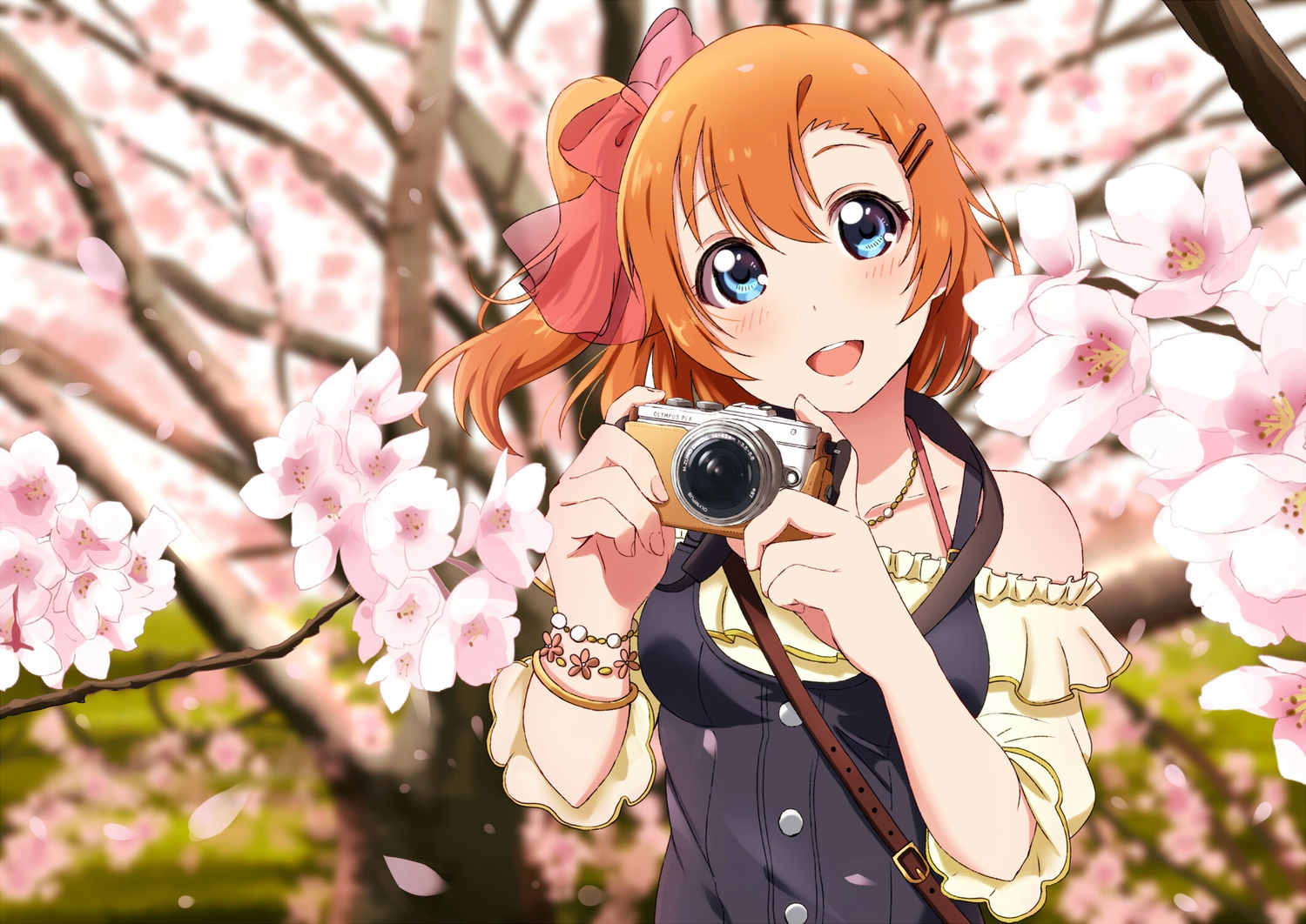 camera, cherry_blossoms, flowers, kousaka_honoka, love_live!_school_idol_project, shiokazunoko
