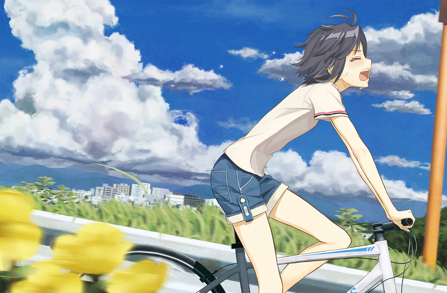 bicycle, black_hair, building, city, clouds, flowers, idolmaster, kikuchi_makoto