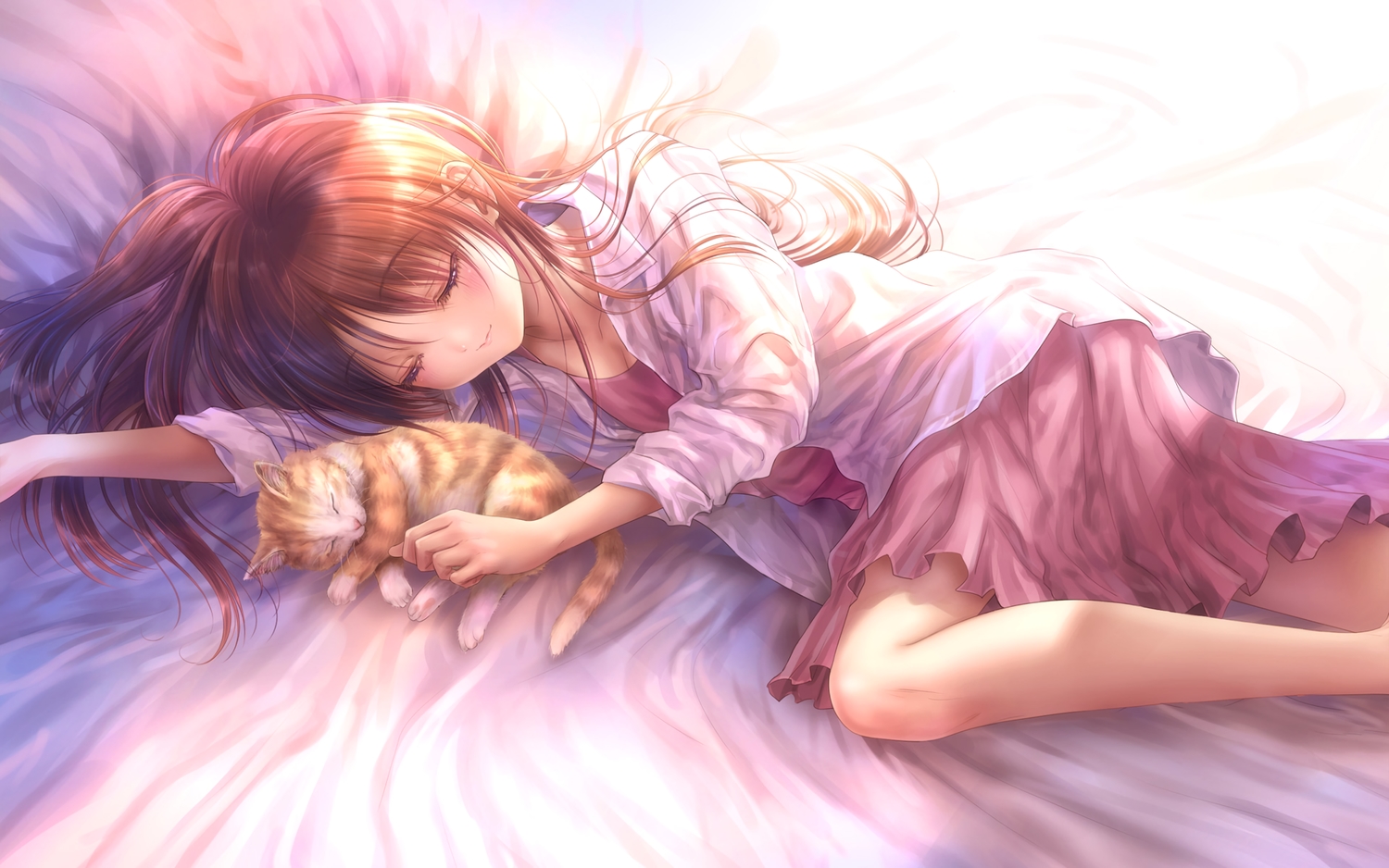 animal, cat, goto_p, narcissu, sakura_setsumi, sleeping