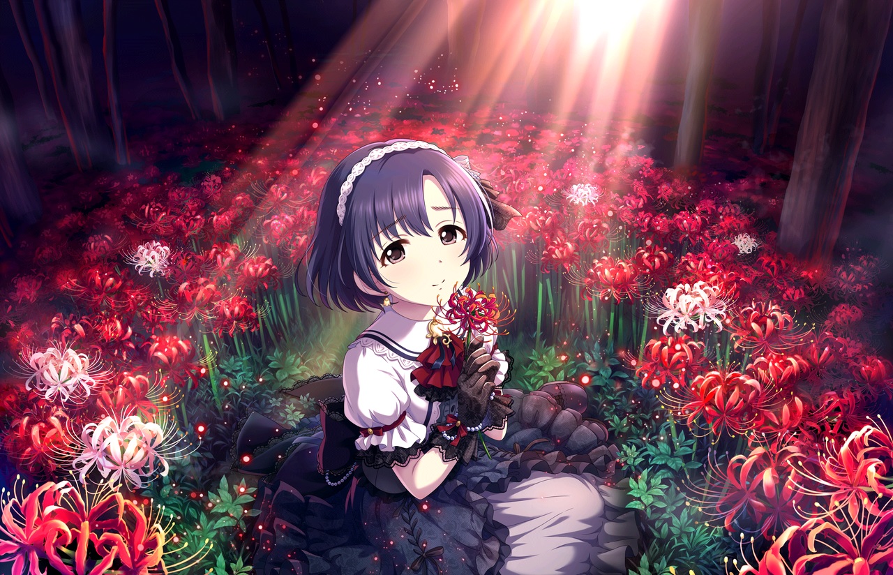 annin_doufu, flowers, idolmaster, idolmaster_cinderella_girls, idolmaster_cinderella_girls_starlight_stage, lolita_fashion, shiragiku_hotaru